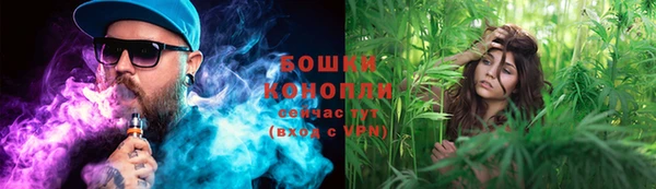 марки nbome Вяземский