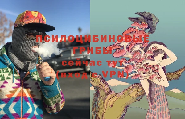 марки nbome Вяземский
