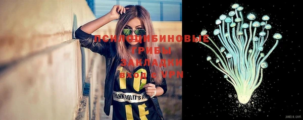 марки nbome Вяземский