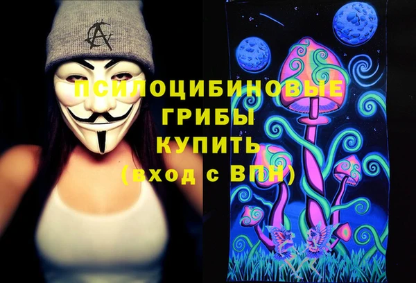 марки nbome Вяземский