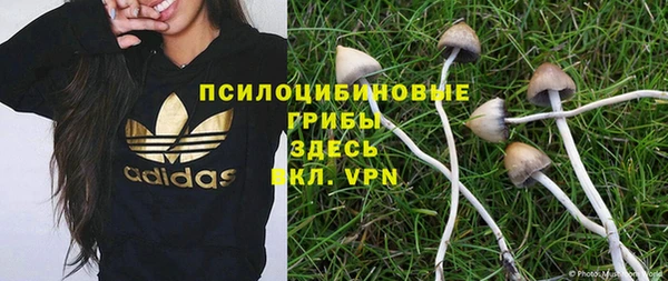 молекула духа Вязьма