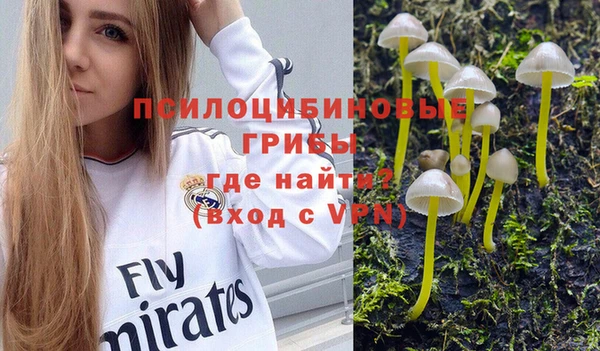 молекула духа Вязьма