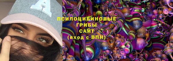 молекула духа Вязьма