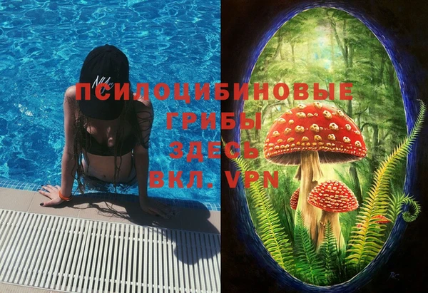 mdpv Володарск