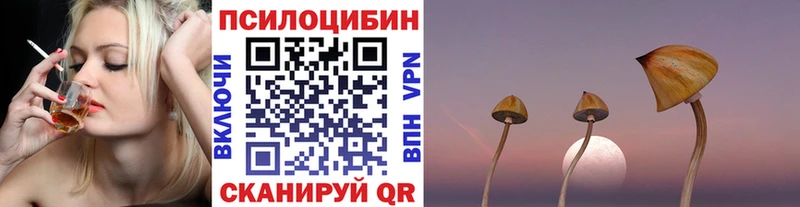 Псилоцибиновые грибы Psilocybine cubensis  МЕГА зеркало  Плавск  как найти закладки 